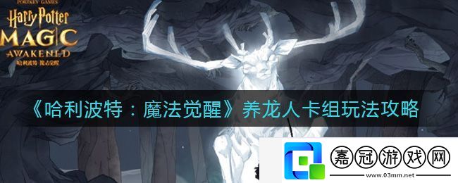 哈利波特：魔法覺醒養龍人卡組玩法攻略