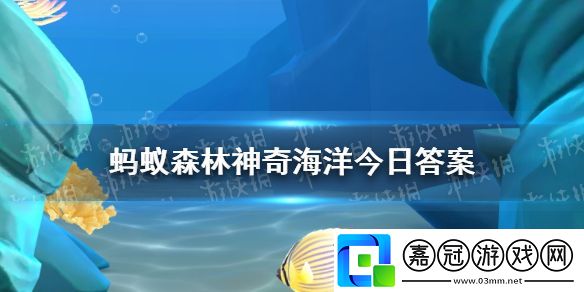 以下哪種魚是石斑魚中的巨無霸-神奇海洋8月13日答案