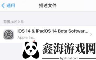 IOS14.2beta怎么轉正式版