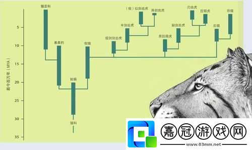 肉食教師食取報告