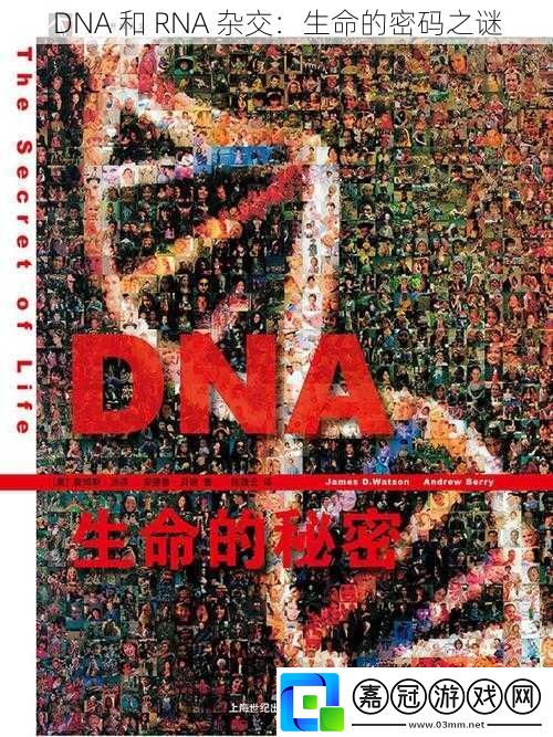 DNA-和-RNA-雜交：生命的密碼之謎