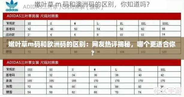 嫩葉草m碼和歐洲碼的區別：友熱評揭秘-哪個更適合你