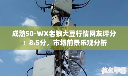 成熟50-WX老狼大豆行情友評分：8.5分-市場前景樂觀分析