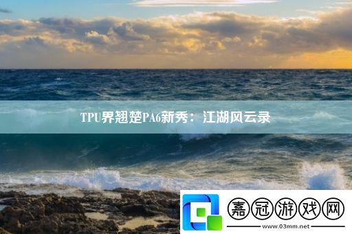 TPU界翹楚PA6新秀：江湖風云錄