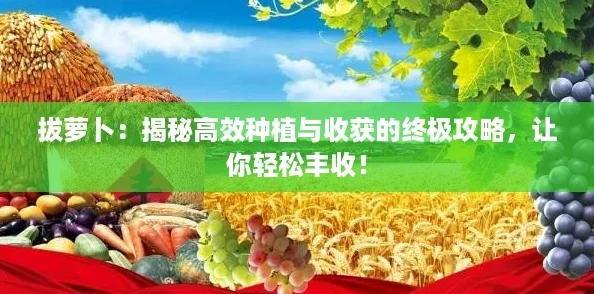 拔蘿卜：揭秘高效種植與收獲的終極攻略讓你輕松豐收！