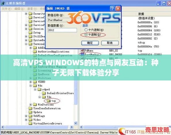 高清VPSWINDOWS的特點與友互動：種子無限下載體驗分享