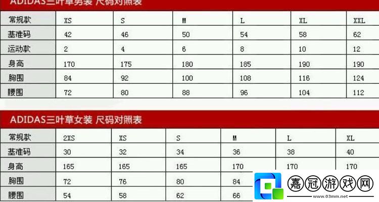 三葉草M碼與歐洲碼：一場跨越星球的代碼戰爭