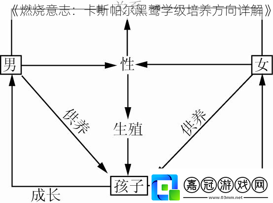 燃燒意志：卡斯帕爾黑鷲學級培養方向詳解