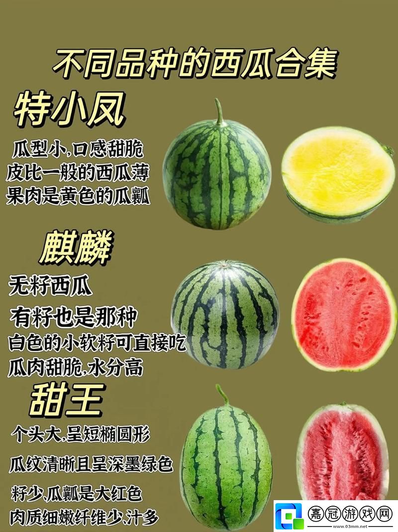 年度科技大瓜盤點：笑岔氣-淚崩壞-一瓜還比一瓜嗨！