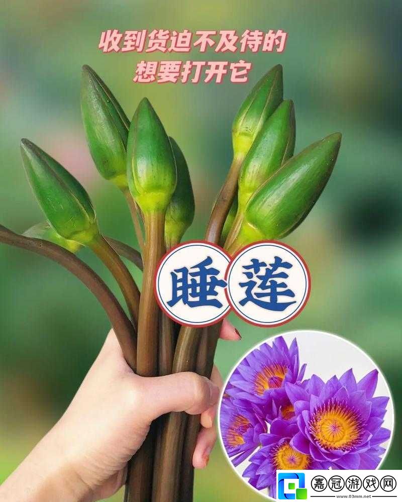 女性半夜蓮花開放的治療方法：全新解析與建議