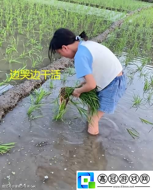 耕女傳奇：科技花田的奇幻漂流