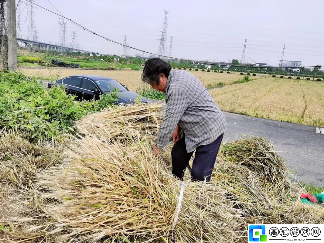 “子耕母田”的戲碼