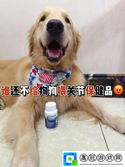 狗界革命餐單揭秘：創新人狗膠-犬食狂歡不止于飽！