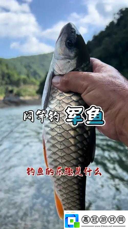 釣得一聲笑：生活中的點滴樂趣