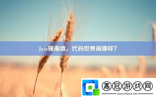 Java撞南墻代碼世界鬧哪樣