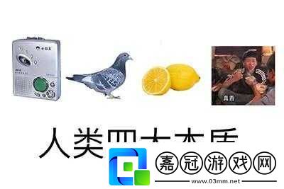 人類大本質是什么