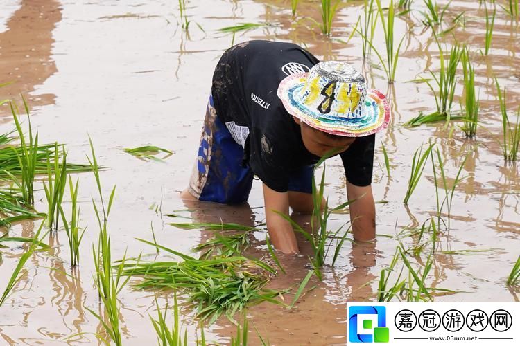 耕云播雨不傷筋-創新妙招逗趣談