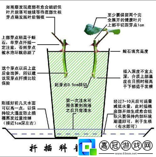 "72歐式插法"狂潮來襲-注意事項(xiàng)笑掉大牙！