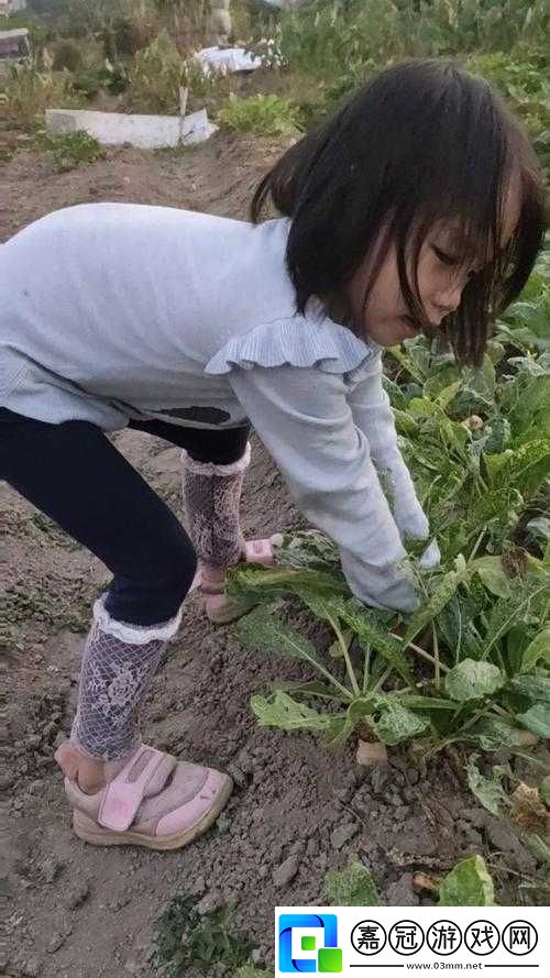 12歲女孩拔蘿卜最有效：巧用方法輕松拔