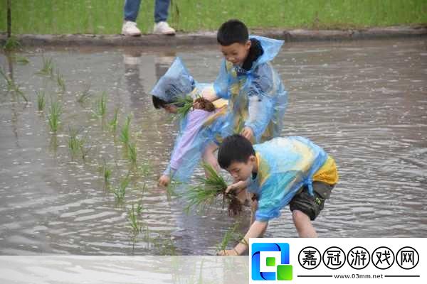 夫妻插秧100種方法圖片大全