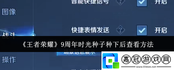 王者榮耀9周年時光種子種下后怎么查看-9周年時光種子種下后查看方法