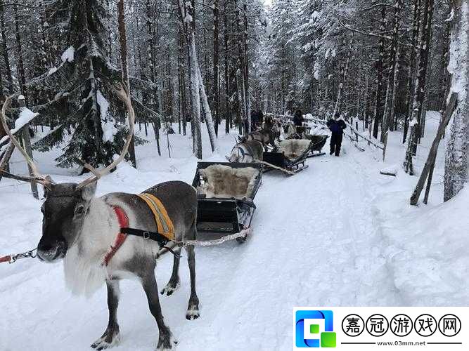 尋找冰原守衛者拉雪橇的麋鹿：它們的蹤跡與生存環境