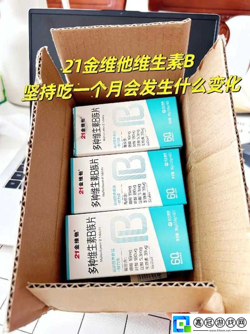 歐亞尺碼專線b1b：你的便捷選擇