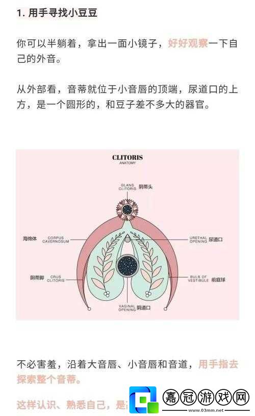 怎么讓小豆豆變大的方法