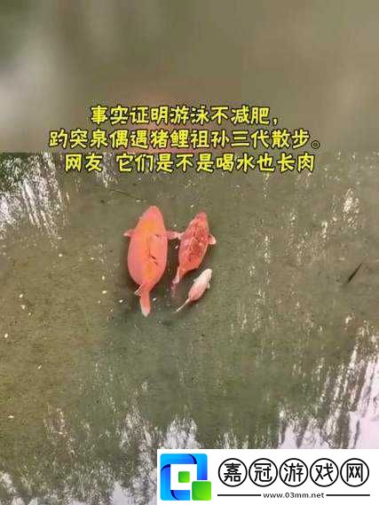 女人鯉魚喝水圖解大全之詳細解析