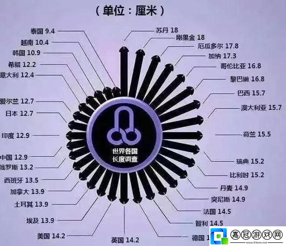 科技界的“粗與長”之爭：揭秘引人入勝的奧秘