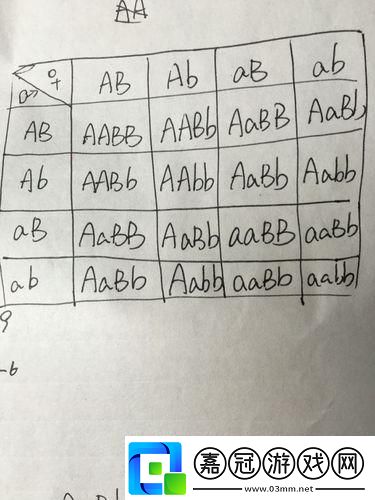 AABB與AAAA的差異：科技界的“辣條”大比拼