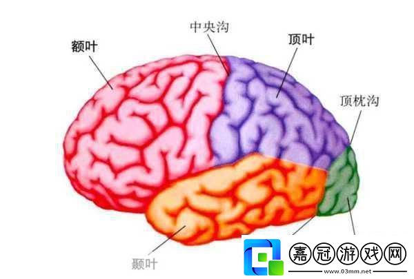 分裂之門2震撼來襲-三大派系能力全揭秘！