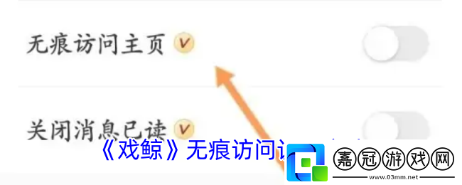 戲鯨怎么隱身訪問-戲鯨app無痕訪問設置方法