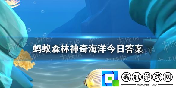 猜一猜海蘋果是以下哪種生物-神奇海洋12月17日答案