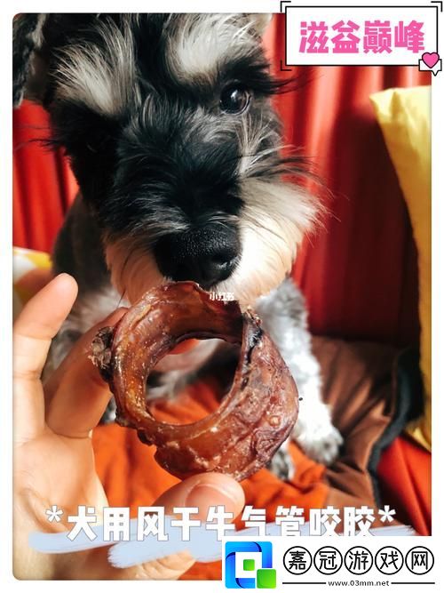 美國人與動物膠配方大全-網友：這真是個寶藏！柯林資訊