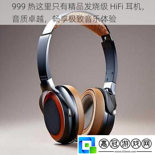 999熱這里只有精品發(fā)燒級HiFi耳機音質(zhì)卓越暢享極致音樂體驗