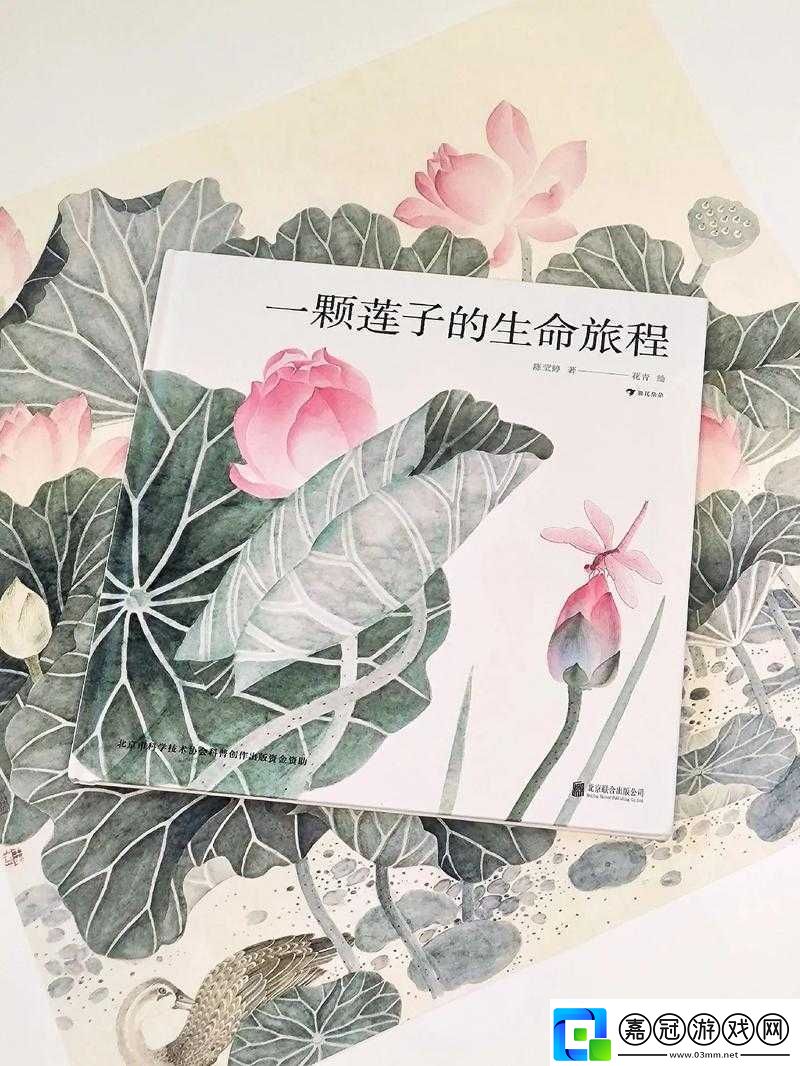 盈盈64：探索生命的完整性