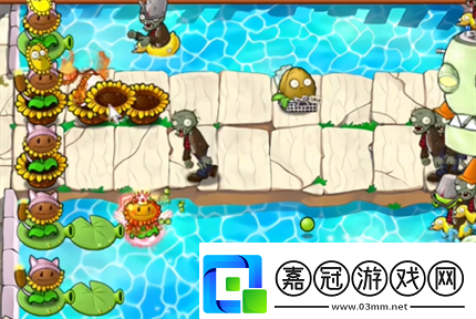 pvz雜交版英雄模式埃德加二世過關攻略！