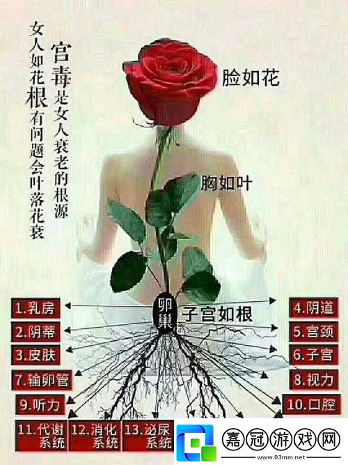 什么叫女人半夜蓮花開：解析其含義