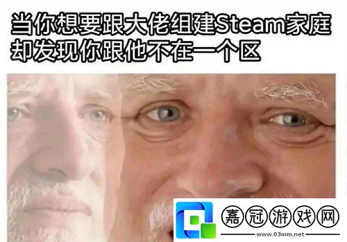 Steam賽博尋親是什么梗