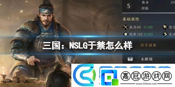 三國：NSLG于禁怎么樣：深入了解游戲內的陣營和勢力關系