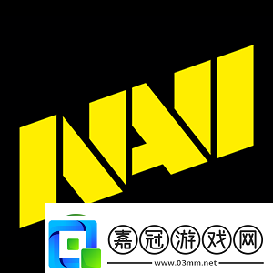 HLTV頒獎典禮：年度最佳戰隊——NAVI