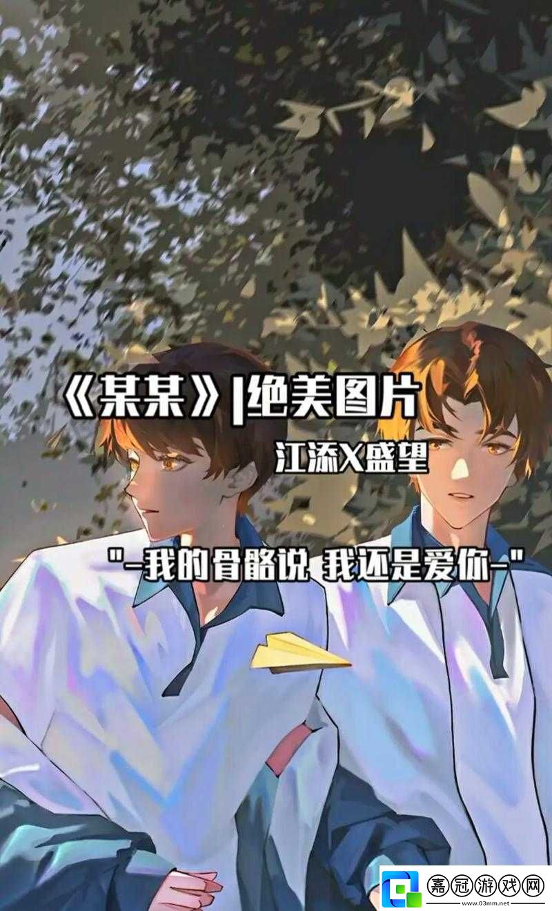 江添把盛望做流：一段青春歲月中的情感糾葛