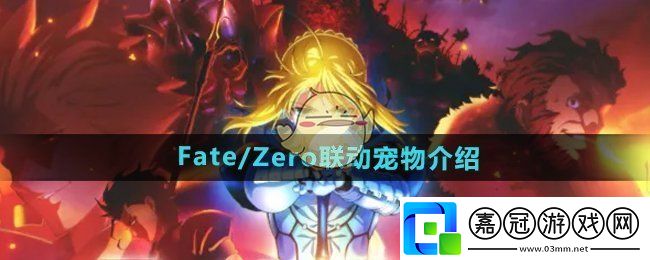 DNFFate/Zero聯動寵物有哪些-Fate/Zero聯動寵物介紹