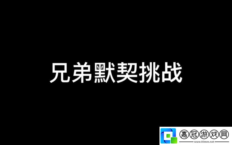 兄弟默契1V2流暢不卡頓-網友：這才是真正的巔峰對決！共享技巧