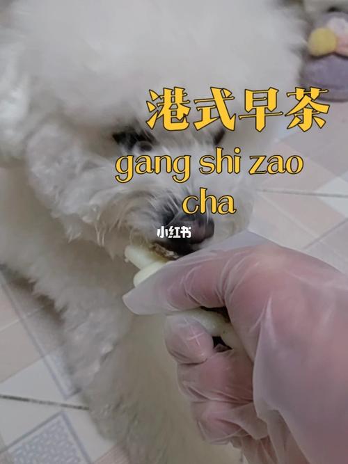 狗和人膠配方20分鐘平臺：知心寵物