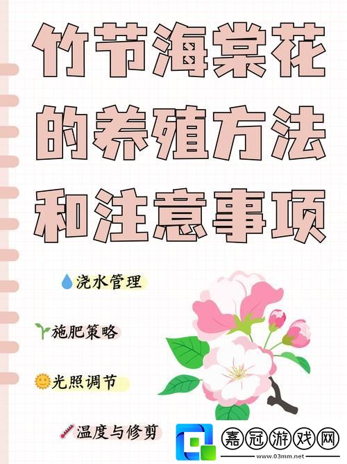 在“被系統(tǒng)澆灌的日常”中尋求自我成長共享技巧