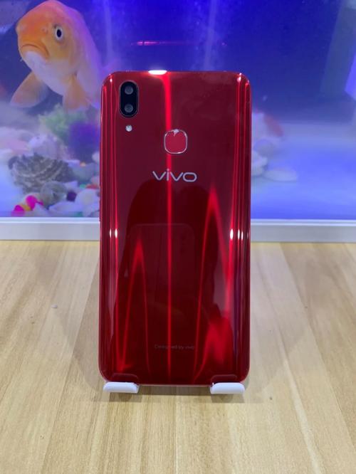 探索歐美性VIVOX21歐美的魅力與創新