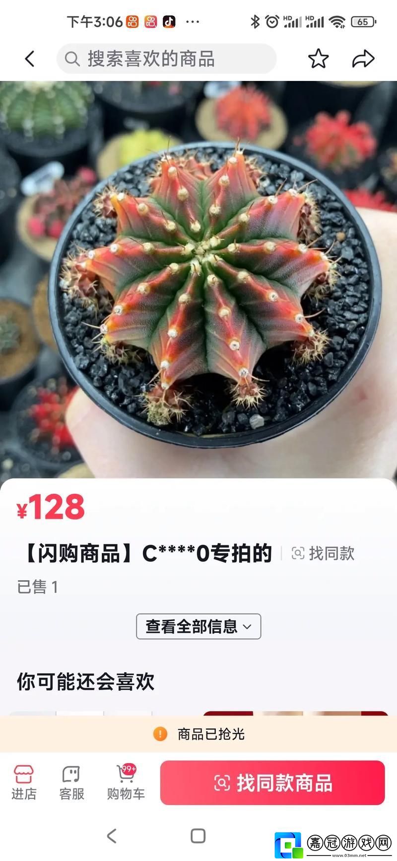 骨科1/1多肉-讀者：在多肉植物的世界中發現生命的奇跡