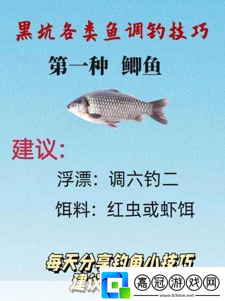 彈涂魚垂釣秘籍